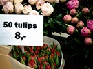 Tulipány jsem si zamilovala.