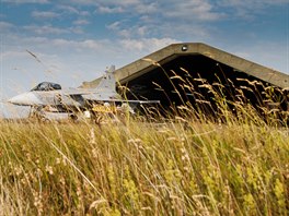 Gripen eskch vzdunch sil na Islandu