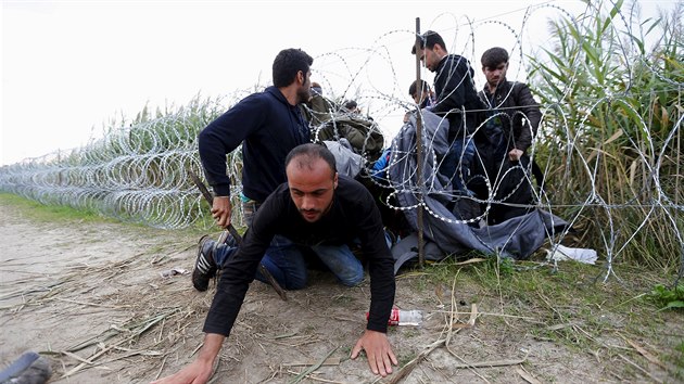 Uprchlíci překonávají čerstvě zbudovaný plot na hranicích Maďarska a Srbska (25. srpna 2015)