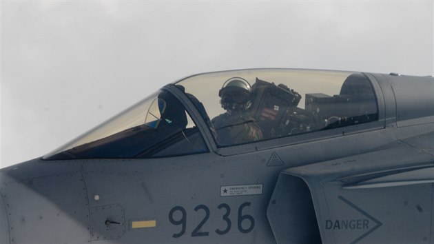 Gripen eskch vzdunch sil doprovz armdn specil s ministrem Stropnickm nad Islandem