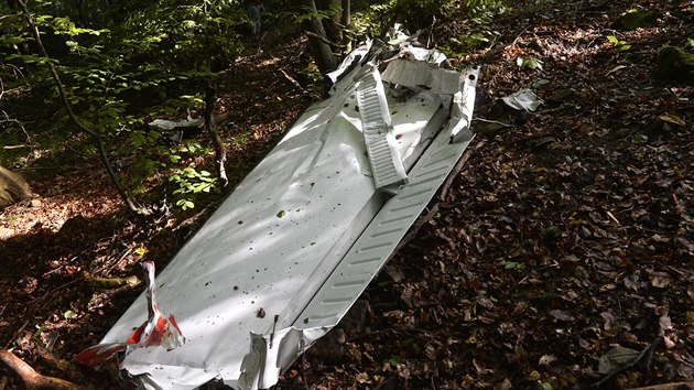Na zpad Slovenska se srazila dv mal transportn letadla, kter se nsledn ztila. Nehodu nepeilo sedm lid. (20. srpna 2015)