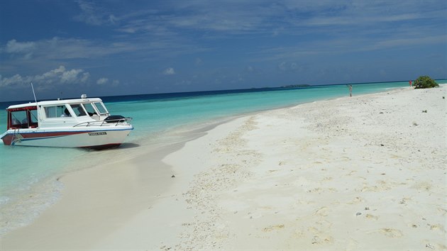 Turisty oblben jsou vlety na sand bank, mlinu vystupujc z moe.