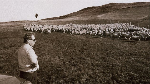 Václav Havel pozoruje stádo ovcí na Novém Zélandu