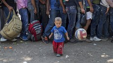 Uprchlíci nedaleko srbského msra Preevo (25. srpna 2015)