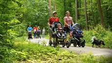 Do Kunovského lesa �asto vyrá�ejí rodiny z Uherského Hradi�t�, Kunovic i �irého...