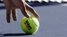 tenis, ilustrační foto