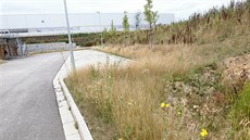 V�deckotechnický park v Jihlav� za 400 milion� zar�stá plevelem a chátrá. Kv�li...