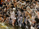 OISTNÁ KOUPEL. Hinduistití svatí mui se pipravují ke koupeli v ece Godi...