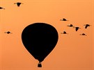 VZHRU DO OBLAK. Horkovzduný balon sdílí veerní oblohu s jeáby na cest do...