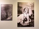 Jednu místnost zaplnily slavné Dalího portréty od Václava Chocholy, který...