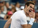 Andy Murray se vzteká po prohraném míi v osmifinále US Open s Kevinem...