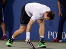 Neúspch Andyho Murrayho v jedné z výmn bhem osmifinále odnesla jeho raketa