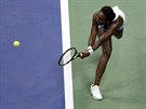 Venus Williamsová se natahuje po bekhendu ve tvrtfinále US Open proti své...