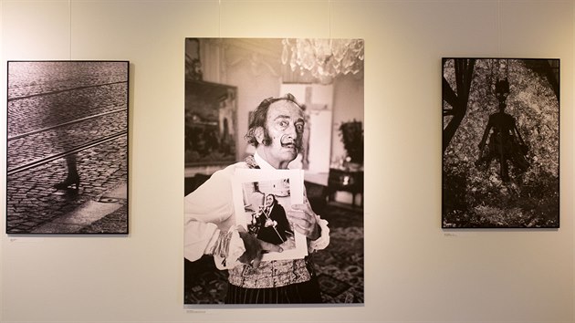 Jednu místnost zaplnily slavné Dalího portréty od Václava Chocholy, který několik dní v roce 1969 fotografoval kníratého exhibicionistu v jeho pařížském apartmánu.