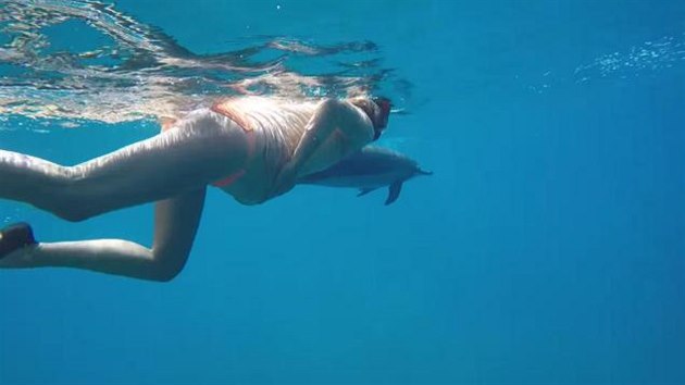 V 36. tdnu si Dorina Rosinov byla zaplavat s delfny.