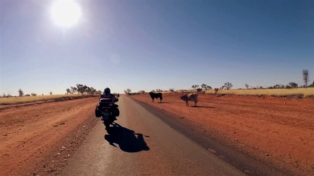 Igor se svm otcem projeli za 70 dn velkou st Austrlie. Ze Sydney se vydali pes pou do Alice Springs a odtamtud zptky k vchodnm behm nejmenho kontinentu, do Melbourne.