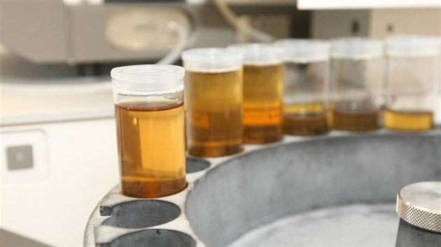 V perovskm pivovaru Zubr oteveli a ochutnali pivo z 80 let star lahve nalezen pi klidu pdy. Krom toho tak odebrali vzorky pro analzu v laboratoi pivovaru, zbytek putoval do prask Vysok koly chemicko-technologick.