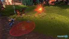 Wildstar