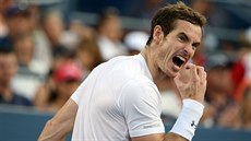 Andy Murray se vzteká po prohraném míči v osmifinále US Open s Kevinem...