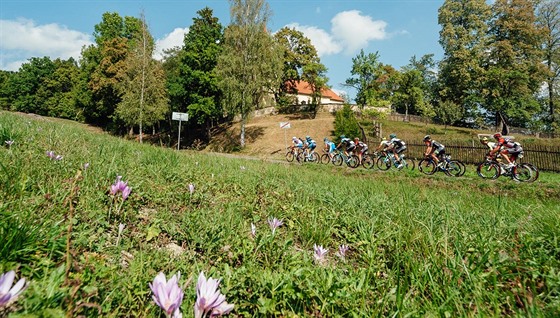 Momentka z cyklistického závodu East Bohemia Tour .