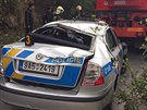 Policisté pronásledovali civilní vozidlo, nezvládli ale ízení a skonili v...