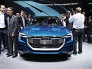 Audi e-tron quattro