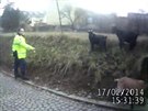Chovateli utíkají kozy do centra Brna