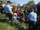 Tisíce migrant dorazily do chorvatského Tovarniku, odkud chtjí pokraovat na...