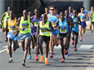 P�lmaraton �st� nad Labem, 12. z��� 2015