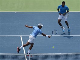 Indick pr Rohan Bopanna (vpravo), Leander Paes v bari Davis Cupu v Dill.