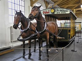 Letn oteven vz konspen tramvaje. Vz dil ko z pedn ploiny.