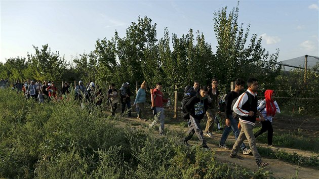 Migranti u msta id na hranici Srbska a Chorvatska. (16. z 2015)