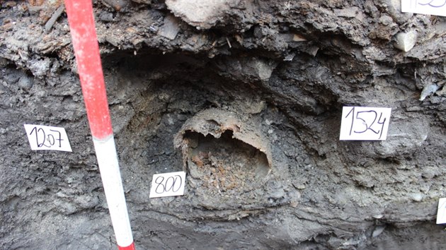 Odkrytý hrob z 15. století, odborníci předpokládají, že ostatky (na snímku zbytek lebky) patří dítěti.
