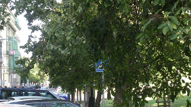 Washingtonova ulice: Znaka pechod pro chodce je postavena tak,e si jí idii...
