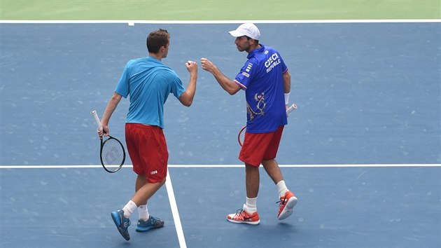 eský pár Radek tpánek (vpravo), Adam Pavlásek v barái Davis Cupu v Dillí.