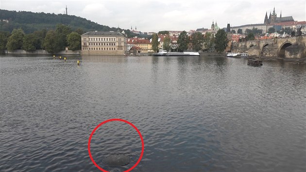 Zhadn objekt pod Karlovm mostem v Praze