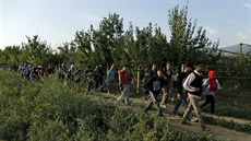 Migranti u msta id na hranici Srbska a Chorvatska. (16. záí 2015)