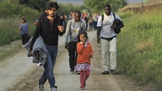 Uprchlíci na srbsko-chorvatské hranici (16. záí 2015)