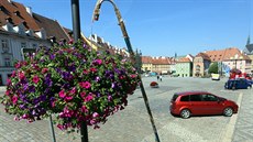 Takto v srpnu zaléval zahradník kv�tiny umíst�né na lampách na chebském...