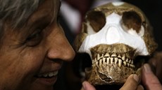 Profesor Adam Habib s rekonstruovanou lebkou druhu Homo nadeli bhem tiskové...