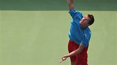 SERVIS. Adam Pavlásek v barái Davis Cupu v Indii.