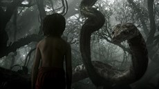 Z filmu Kniha d�unglí