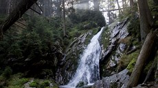 �umava - Bílá str�