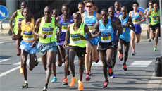 Plmaraton Ústí nad Labem, 12. záí 2015