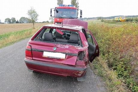 Felicie, do které narazil vlak na pejezdu u obce Jeice na Jiínsku. (22. záí...