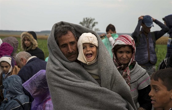 Uprchlíci u Tovarniku na srbsko - chorvatské hranici (24. záí 2015)