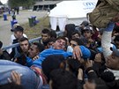 Mladík bhem registrace do chorvatského uprchlického tábora v Opatovaci omdlel....