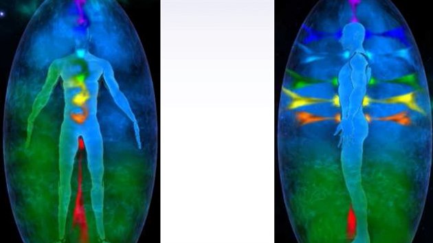 Aura amazonsk�ho �amana