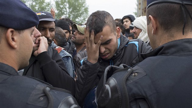 Migranti ekaj frontu na registraci do uprchlickho tbora v chorvatskm Opatovaci. (22. z 2015)