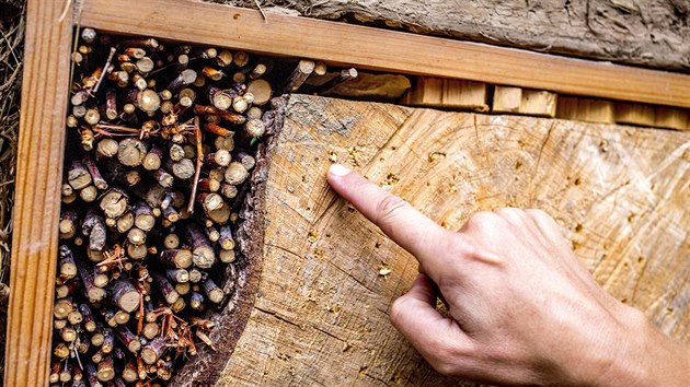 Jedn�m z m�st, kde se vyplat� zastavit, je hmyz� hotel.